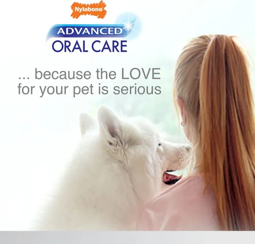 Vista 9 de Nylabone Advanced Oral Care - Kit dental para perros mayores con cepillo de dientes de cerdas suaves y acolchadas, 3