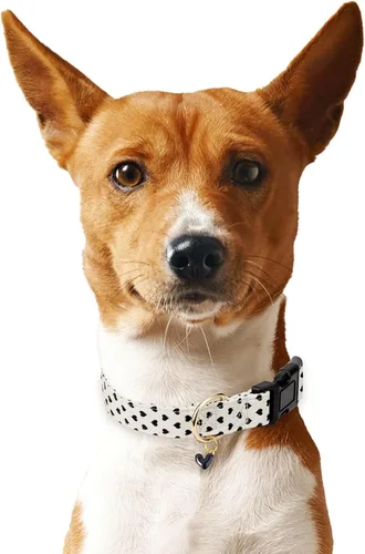 Vista 5 de Collar de perro de algodón, collares suaves y lindos para cachorros con diseño de corazones estampados para perros hembra y macho, collar ajustable