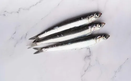 Vista 5 de Mr. Moris® Filetes de anchoa del mar Cantábrico en aceite de oliva Filetes de anchoas hechos a mano Kosher Certificado MSC para pesca