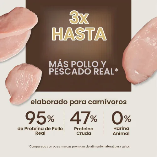Vista 4 de Instinct Ultimate Protein - Receta de pollo sin granos, comida seca natural para gatos, bolsa de 4 libras Protein-packed recipe, 95% protein from