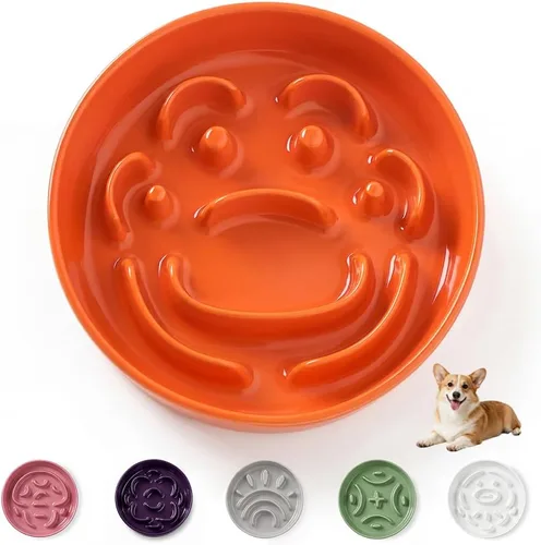 Vista 15 de Cuenco elevado para perros de alimentación lenta, 0.8 tazas de cerámica elevado con soporte inoxidable, cuenco elevado para perros de 6.3 pulgadas