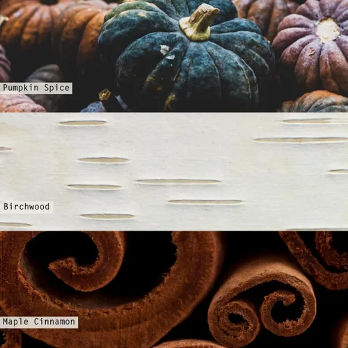 Vista 2 de Illume Vela de Calabaza Midnight Pumpkin Mercury, Negro y Naranja