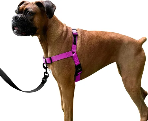 Vista 17 de ShawnCo Dream Walk Arnés para Perros Sin Tirones - Ajustable, Cómodo, Fácil de Usar, Cabestro para Mascotas para Ayudar a Detener los Tirones