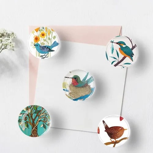 Vista 3 de 12 imanes de pájaros para refrigerador, imán redondo magnético de vidrio para decoración de nevera para taquilla, oficina escolar, pizarra blanca