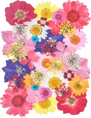 Vista 14 de 14 Tipos 37 piezas Flores Azules Secas Prensadas para Moldes de Resina, YouthBro Flores Secas Naturales Prensadas para Manualidades de Arte DIY