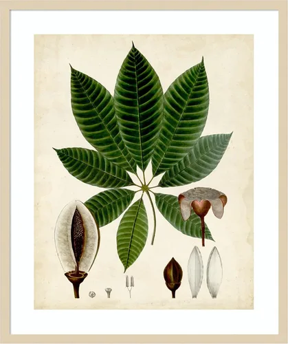 Vista 7 de Amanti Art Vision Studio - Lienzo decorativo para pared, 24 x 20 pulgadas, follaje verde VII por Vision Studio, arte de pared de naturaleza