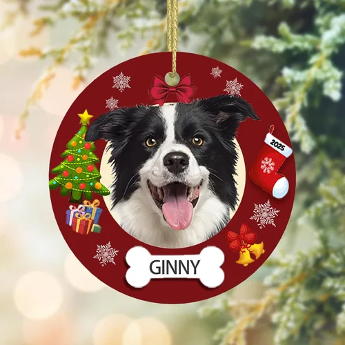 Vista 11 de Adorno conmemorativo personalizado para perro, 2025, con imagen de perro, foto y nombre, adornos para árbol de Navidad, regalo personalizado