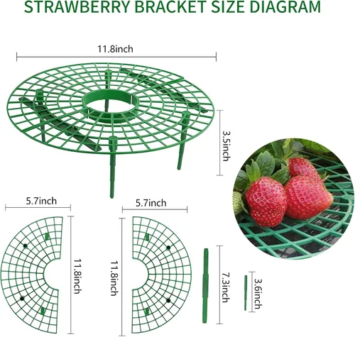 Vista 2 de SooGree Paquete de 5 soportes de fresa, soportes de fresa para jardín, jaula de plantas de frutas, bandeja de plástico para mantener las fresas