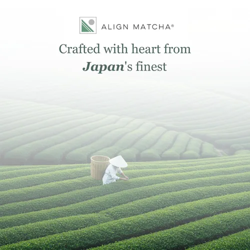 Vista 8 de Align Matcha - Matcha Orgánico Ceremonial 1.76 oz, 42 porciones - Polvo de matcha japonés para mayor concentración y energía - Sabor suave y rico