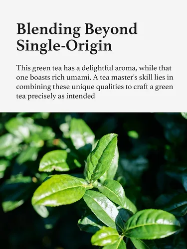 Vista 5 de HAYASHIYA Polvo de matcha – Asamidori – Kyoto Uji grado ceremonial, primera cosecha auténtico polvo de té verde matcha japonés (30 g / 1.06 oz)