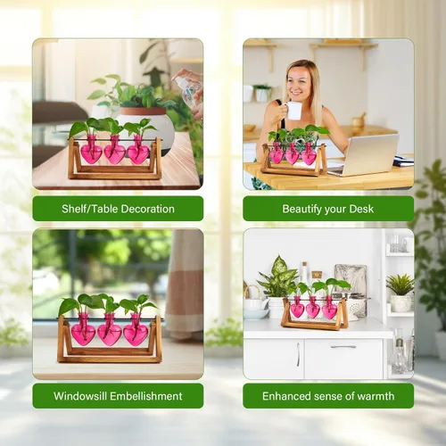 Vista 8 de XXXFLOWER Estaciones de propagación de terrarios de plantas, regalos únicos para mujeres, esposa, mamá, amantes de las plantas, 3 jarrones