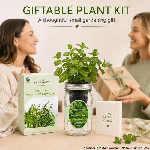 Vista 6 de Kit de cultivo de hierbas hidropónicas, tarro de masón de riego automático para jardín de hierbas, kit de inicio de jardín para interiores, cultiva