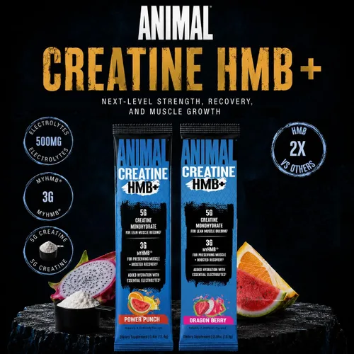 Vista 2 de Polvo de creatina animal HMB – 0.11 oz myHMB + 0.18 oz de creatina con electrolitos para recuperación y energía diaria – Power Punch (3) y Dragon