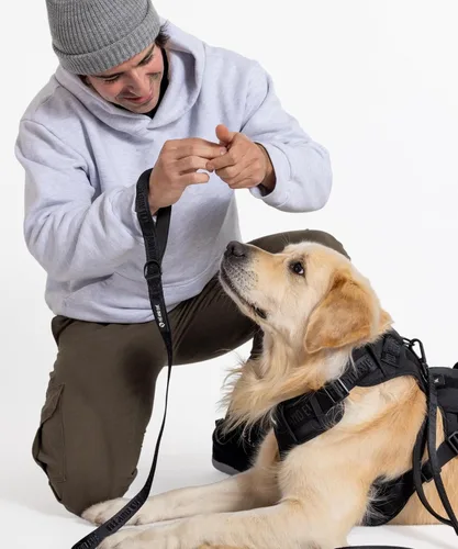 Vista 9 de Fei & Eve - Arnés para perro, sin tirones, nailon duradero, doble asa, panel táctico, pequeño (negro) 3-Point No-Pull Control, Dual Handle