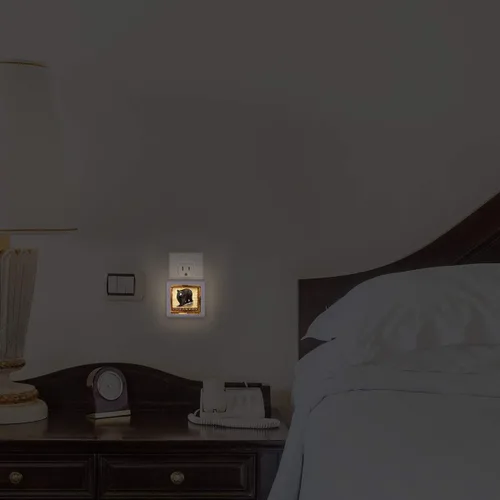 Vista 5 de Luz nocturna LED regulable, impresión rústica de oso negro, enchufable con sensor de atardecer a amanecer, brillo ajustable, ideal para baño