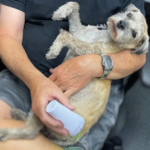 Vista 8 de LumaSoothe Terapia de luz para perros y mascotas - Terapia de luz LED para alivio del dolor, dolor muscular y en las articulaciones, reduce