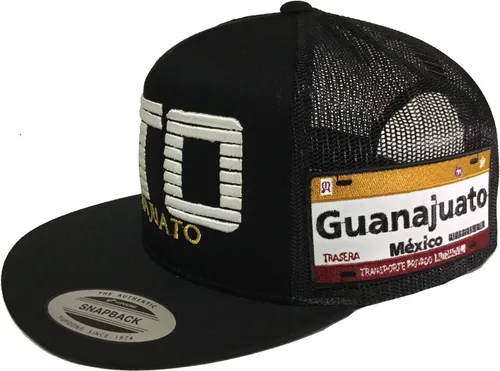 Vista 2 de México GTO nuevo EMBGuanajuato Placa a Lada sombrero negro malla