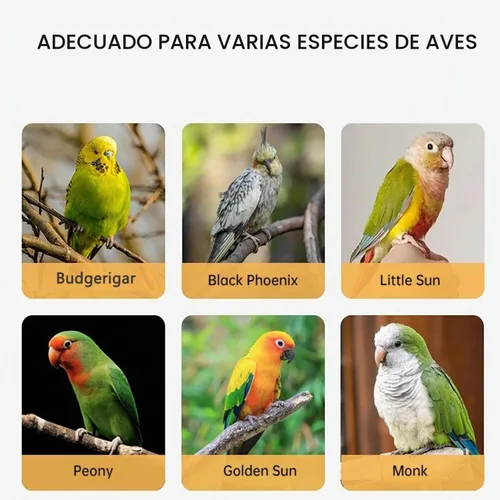 Vista 6 de Cuerda voladora de loro ligero para pájaros, correa de arnés con anillo para el pie, banda elástica para pájaros, correa de tracción