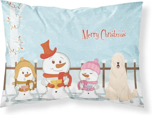 Vista 269 de Caroline's Treasures BB2515PILLOWCASE Between Friends Appenzeller Sennenhund - Funda de almohada de tela estándar, ligera, súper suave, fácil