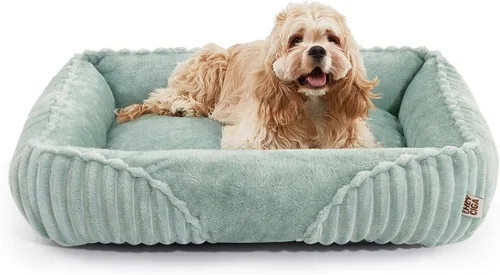 Vista 11 de EHEYCIGA Linda cama para perro de tamaño mediano, cama para mascotas de 30 Crema