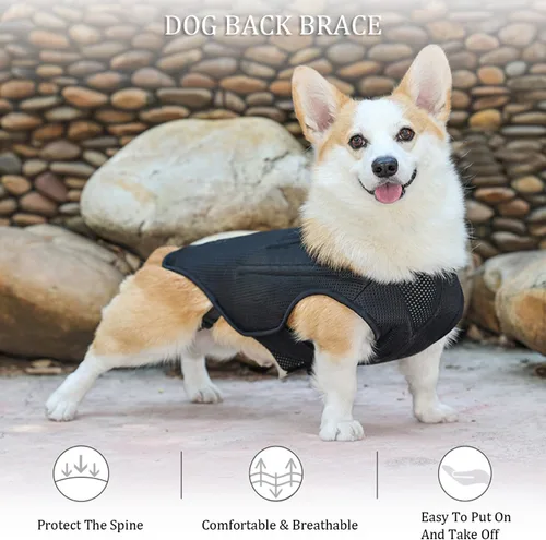 Vista 5 de IVDD - Soporte de espalda para perros, chaleco flexible de apoyo de espalda de perro salchicha para mascotas, soporte de espalda para mascotas