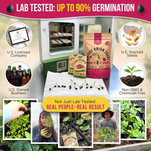 Vista 2 de Organo Republic Paquete variado de 8 semillas de cebolla reliquia, sin OGM, juegos para jardinería en interiores y exteriores. Más de 2200 semillas
