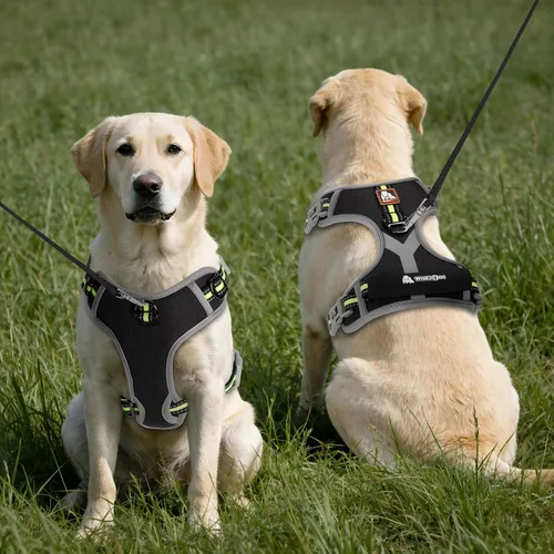 Vista 3 de Arnés para perro, chaleco para mascotas sin tirones, tira reflectante a prueba de escape, fácil de ajustar, arnés para perro con función a prueba