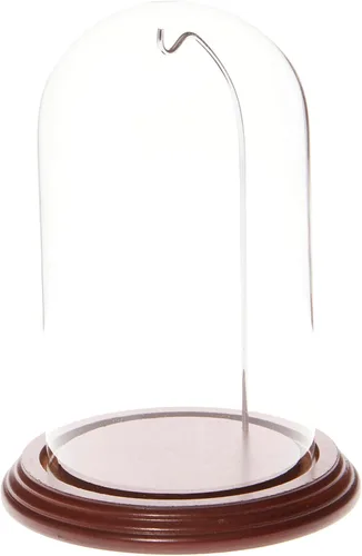 Vista 9 de Plymor Cúpula de exhibición de cristal de reloj/adorno de 4 "x 7