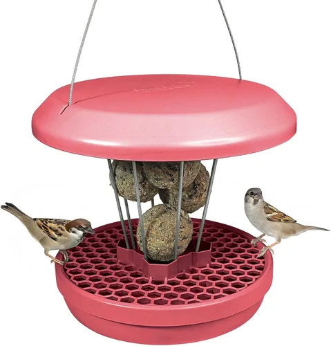 Vista 14 de SWISSINNO Anillo Bloqueador de Aves Grandes, Transparente, Previene que las Palomas, Cuervos y Otras Aves Grandes No Deseadas Asusten a las Aves Más