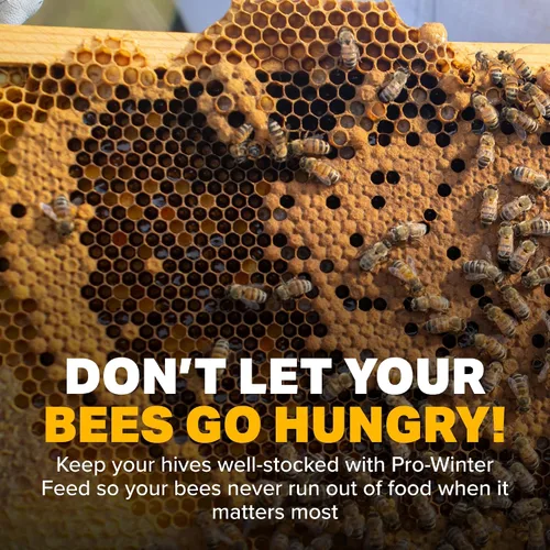 Vista 6 de Mann Lake Alimento Pro-Winter para Abejas Pastillas de Invierno para Alimentación de Colmenas Apoya la Supervivencia de Colonias Durante
