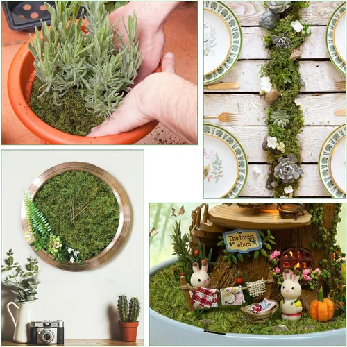 Vista 7 de YUNVI Musgo artificial de gran capacidad de 10.5 onzas para plantas en maceta, hierba de musgo artificial natural para plantas