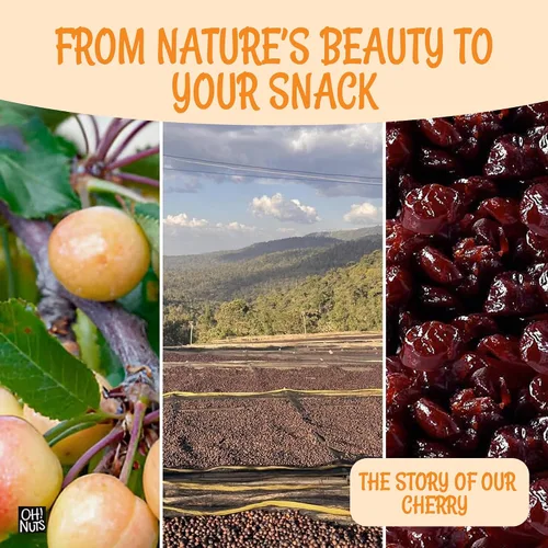 Vista 6 de Cereza ácida seca Bolsa a granel de 1 libra de cerezas ácidas secas frescas sin azúcar, cerezas ácidas secas Montmorency, cerezas secas, sin