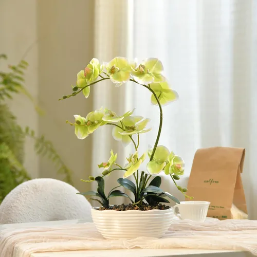 Vista 6 de Phalaenopsis - Planta de orquídea sintética de 19 pulgadas de alto, centro de mesa de orquídea de seda, arreglo floral artificial en maceta