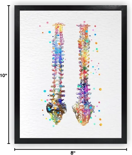Vista 9 de Dignovel Studios 8X10 sin marco de la columna vertebral humana anatomía ósea médico médico acuarela arte impresión cartel inauguración casa giclée