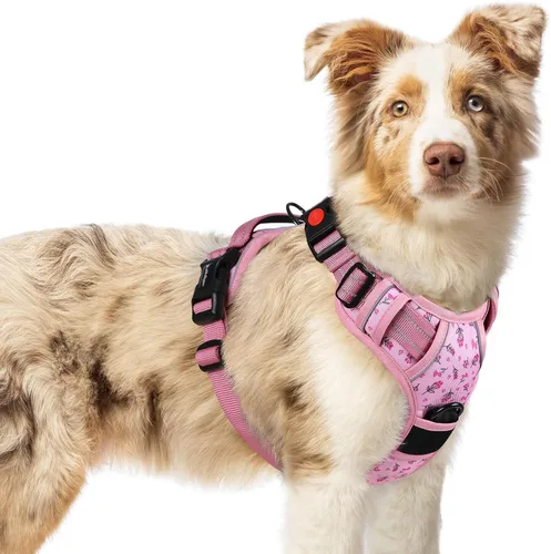 Vista 28 de Rabbitgoo - Arnés para perro de tamaño pequeño, arnés para mascotas sin tirones con 3 hebillas, chaleco acolchado suave ajustable con mango