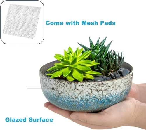 Vista 4 de kilolfy Happy Bonsai Pot - Maceta de cerámica esmaltada de 6.5 pulgadas para suculentas