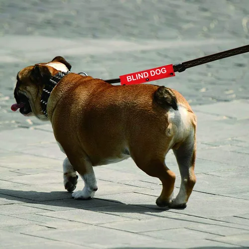 Vista 6 de Funda para perro ciego, correa para perro con discapacidad visual, etiqueta de parche de identificación de alerta, regalo de cumpleaños para mascotas