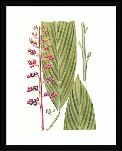 Vista 10 de Amanti Art Lienzo decorativo para pared enmarcado de 24 x 20 pulgadas, hojas de los trópicos III por Vision Studio, arte de pared de naturaleza