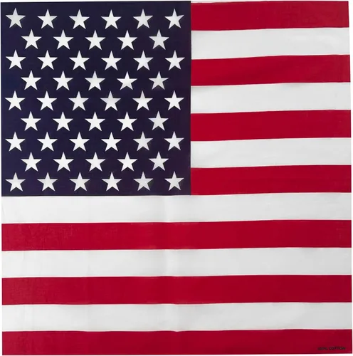 Vista 18 de Junvena Bandanas de algodón, 12 paquetes de 22 x 22 pulgadas, pañuelo unisex impreso de doble cara