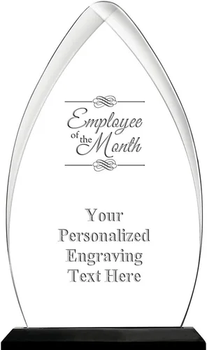 Vista 9 de Crown Awards Premio acrílico personalizado de 9.25 pulgadas de Gateway Skyline
