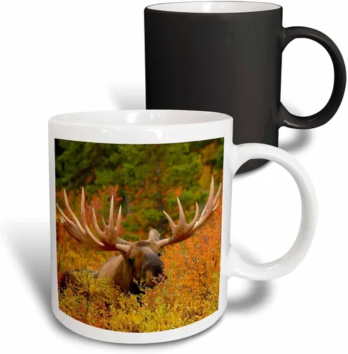 Vista 8 de 3dRose 142049_4 - Taza, 11 onzas, color negro