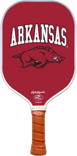 Vista 73 de Raqueta de pickleball colegial oficialmente licenciada - Raqueta aprobada por la Asociación de Pickleball de EE. UU. - Núcleo de nido de abeja