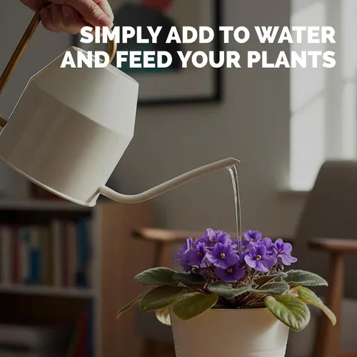 Vista 5 de Fertilizante violeta africana, alimento vegetal líquido para más flores, 1 galón