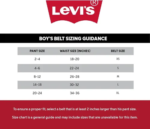 Vista 6 de Levis Cinturón para niños grandes para la escuela casual para jeans con correa reversible plateado
