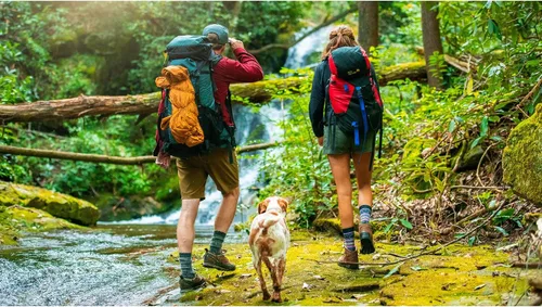 Vista 3 de FITS Light Hiker