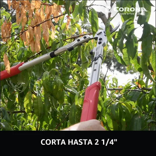 Vista 4 de Corona X Series Pro - Lopper de derivación de 2-1/4 pulgadas