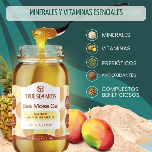 Vista 5 de TrueSeaMoss - Gel de musgo marino irlandés, cultivo silvestre, hecho con algas secas y frescas, apoyo para la salud y la digestión, fabricado