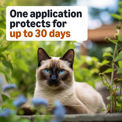 Vista 4 de Amazon Basics PrevenativeTratamiento tópico de pulgas para gatos medianos (5-9 libras), 4