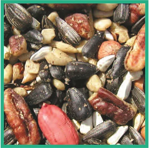 Vista 3 de Cole's SF20 - Semilla especial para pájaros, 20 libras