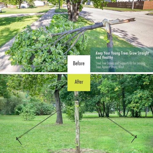Vista 3 de Estacas y soportes para árboles, kit de estacas para árbol con correas para árboles y cuerda en patio al aire libre, 3 piezas de estabilizador